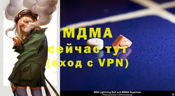 индика Инсар