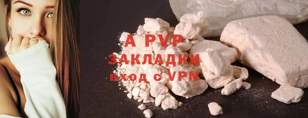 индика Инсар