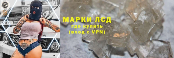 индика Инсар