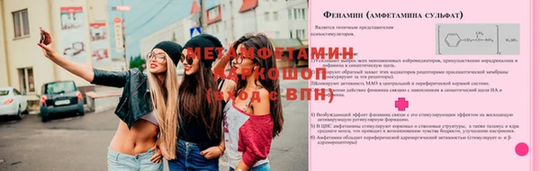 apvp Инта