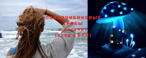 apvp Инта