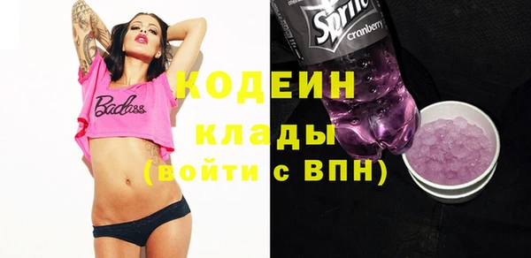 apvp Инта