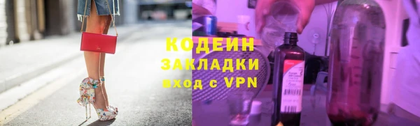 индика Инсар
