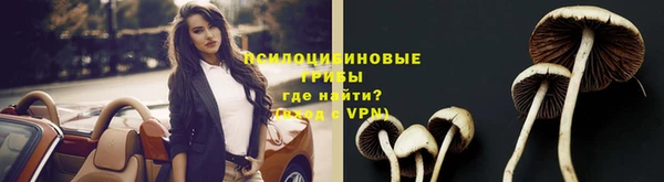 apvp Инта