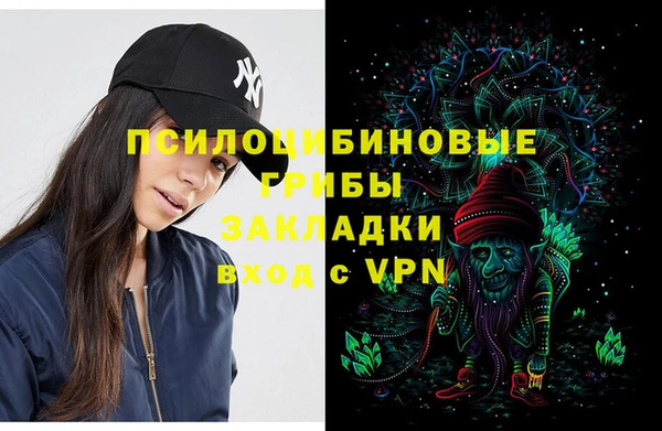apvp Инта