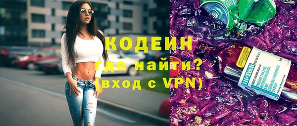 apvp Инта