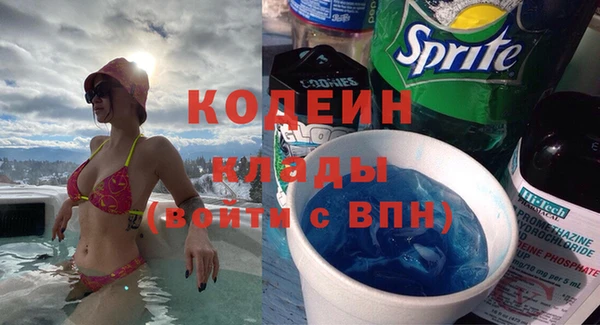 индика Инсар