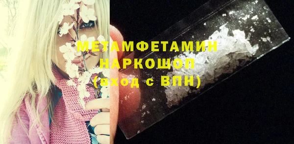 индика Инсар