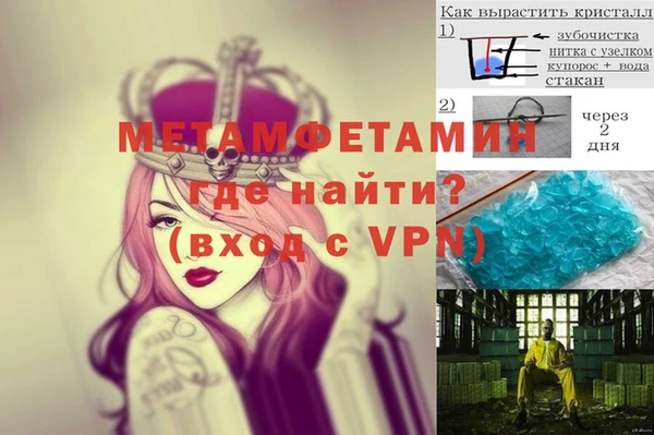 индика Инсар