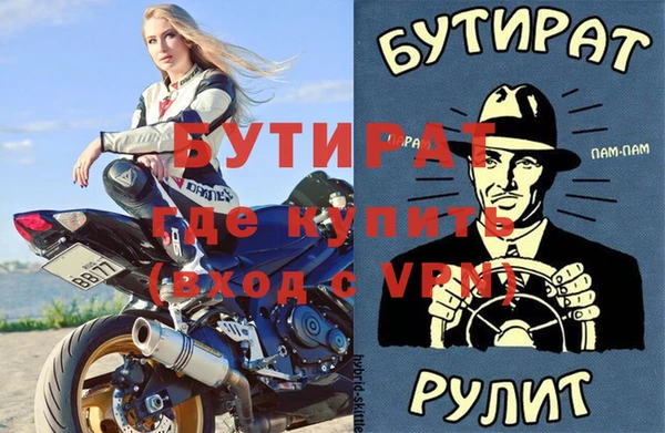 индика Инсар