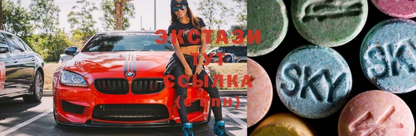 apvp Инта
