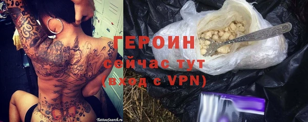 индика Инсар