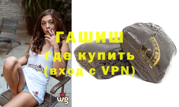 индика Инсар