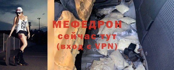 индика Инсар