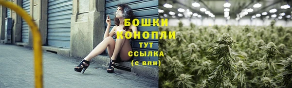 индика Инсар