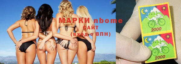 apvp Инта