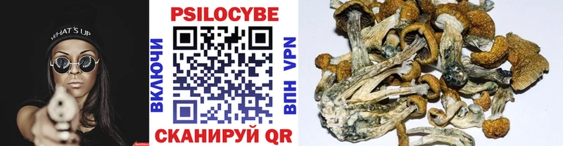 Псилоцибиновые грибы MAGIC MUSHROOMS Купить закладки Зеленоградск